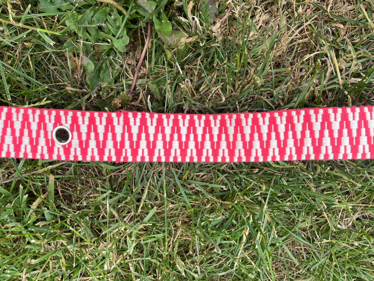 The Eliza Belt