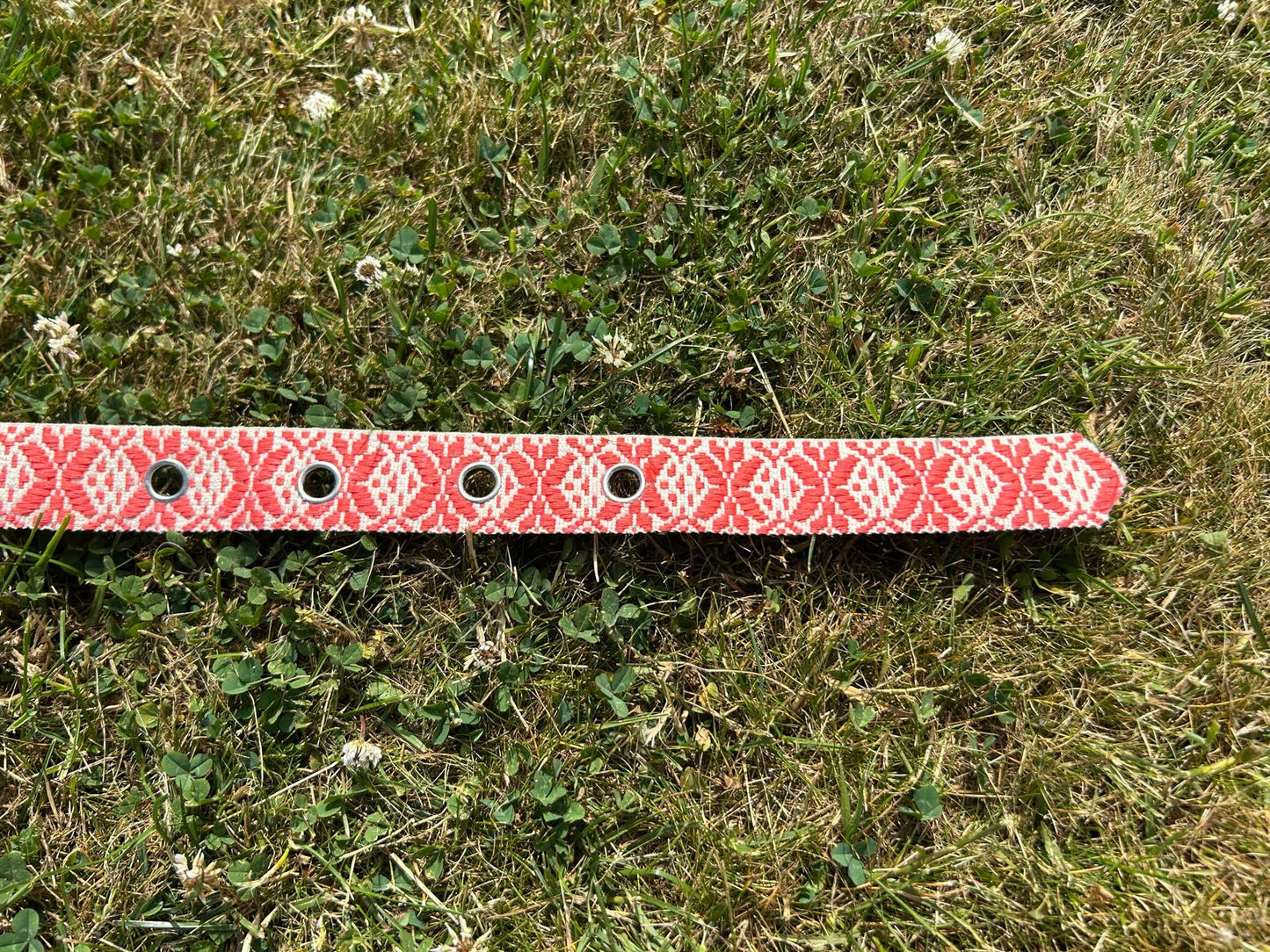 The Persephone Belt