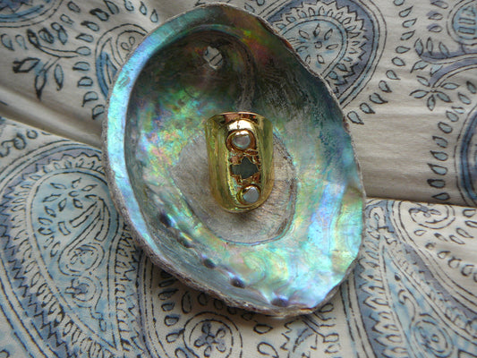 The Paxos Ring - COMING ON THE 15TH MARCH XX